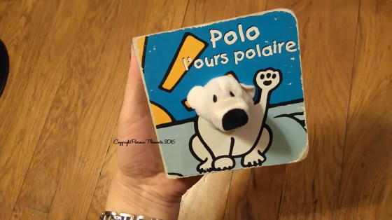 polo l ours polaire