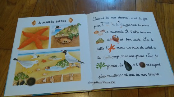 je lis animaux mer interieur
