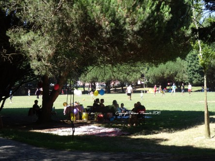 parque-da-cidade-3