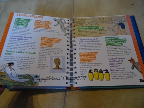 livre-dis-combien-interieur