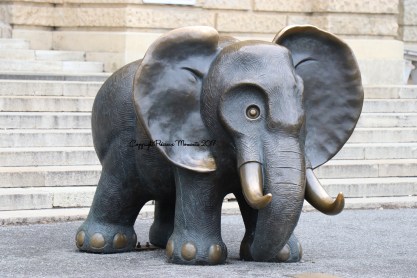 museum-histoire-naturelle-vienne