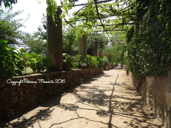 jardin villa cimbrone