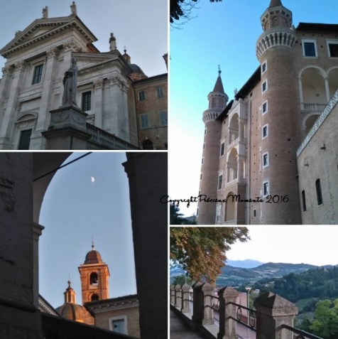 urbino palazzo ducale tourisme a voir