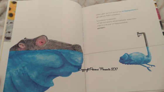 livre la grande question de petit cameleon interieur