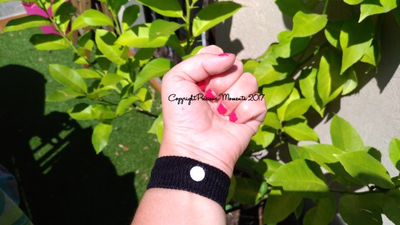 P_20170718_121502_vHDR_Auto