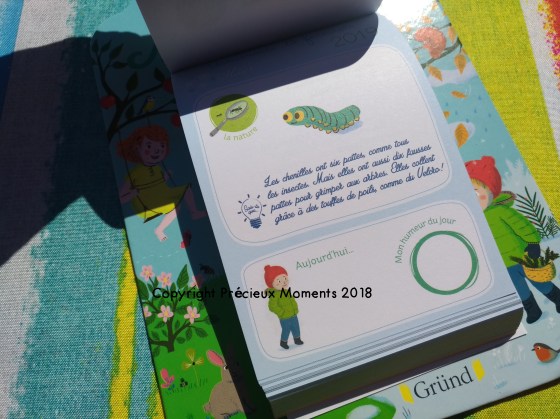 calendrier grund 2018 2019