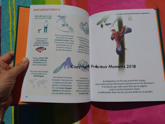 simplissime dinosaures