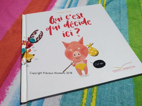 livre qui c 'est qui décide ici