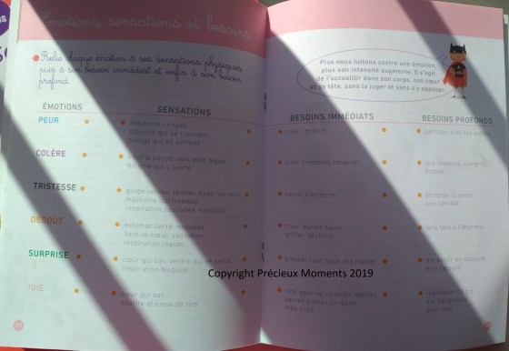 cahier gestion des emotions