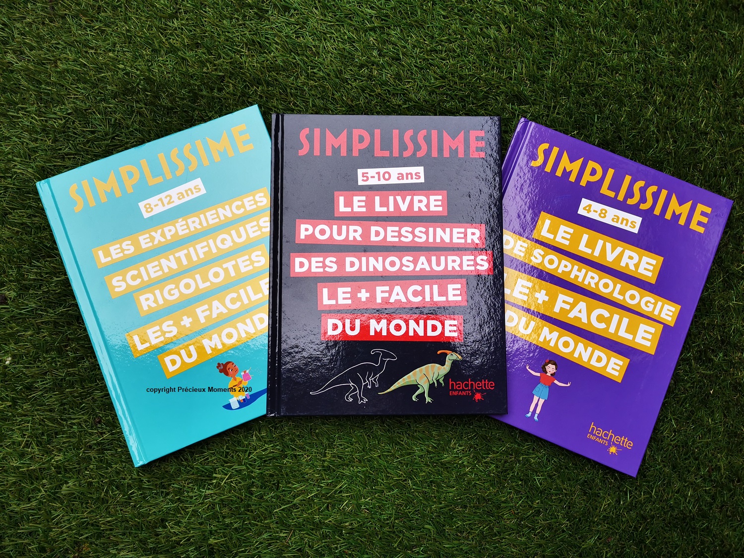 Dans ma bibliothèque #173 : des simplissimes pour dessiner